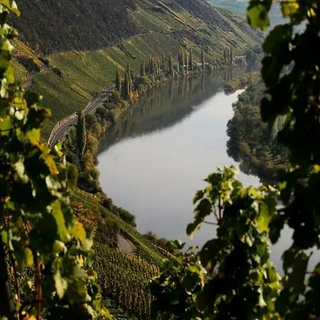 Penzion Ferienweingut Reh In 3*