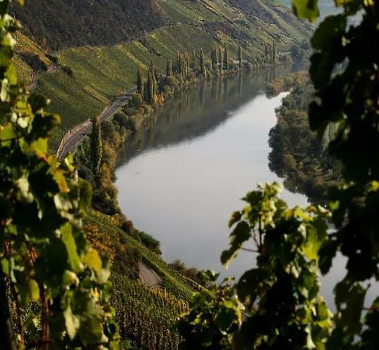 ゲストハウス Ferienweingut Reh In 3*